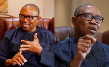 We have no other country except Nigeria: Highlights of Peter Obi on parallel facts | Ikejabird.com