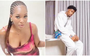 Vee reacts to Neo's claim of breaking up with her because she didn't entertain his family |Ikejabird.com