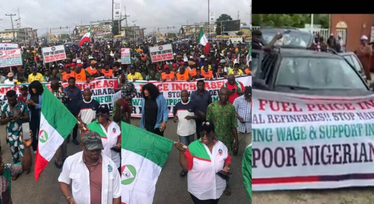BREAKING: Protesters pulls Down NASS Gate, Force Way Into Premises:ikejabird.com