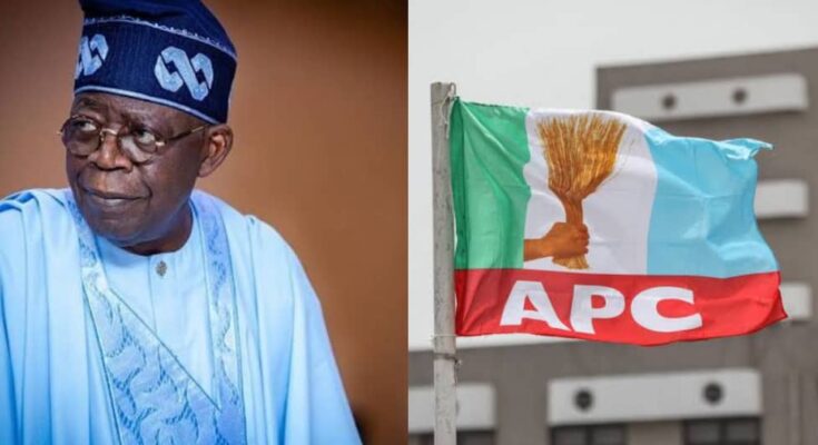 President Tinubu urges APC to prioritize good governance for Nigerians | Ikejabird.com