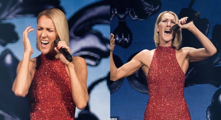 Na Miracle remain: Netizens react to update on Celine Dion’s health:ikejabird.com