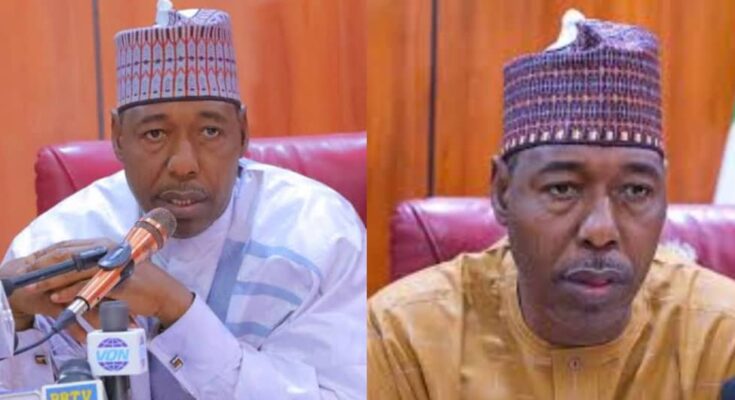 "Why isn't it for every Nigerian?" - Borno Government offers scholarship to indigenes | Ikejabird.com