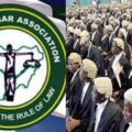 Nigerian Bar Association (NBA) reconstitutes Human Rights Institute Board | Ikejabird.com