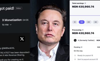 Elon Musk is The GOAT: Netizens react as Elon Musk pays Twitter users:ikejabird.com