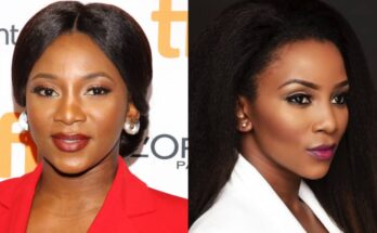 Genevieve Nnaji returns with exciting new film: 'I Do Not Come To You By Chance':ikejabird.com