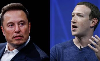 The fight of the century: Elon Musk vs Mark Zuckerberg, all the details:ikejabird.com