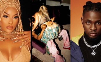 Is Omah Lay dating Burna's ex, Stefflon Don? Netizens are asking:ikejabird.com