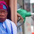 President Tinubu assures Nigerians: No immediate fuel price increase | Ikejabird.com