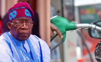 President Tinubu assures Nigerians: No immediate fuel price increase | Ikejabird.com