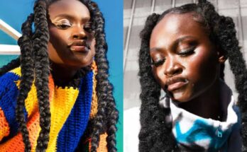 Who is Raebel? What you should know about this female musician:ikejabird.com