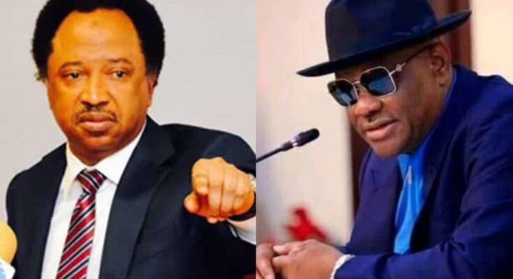 He needs to learn first: Shehu Sani expresses concern over Wike's statements as FCT Minister | Ikejabird.com