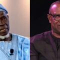 Breaking news: Court affirmed Lamidi Apapa as the authentic Labour Party Chairman:ikejabird.com