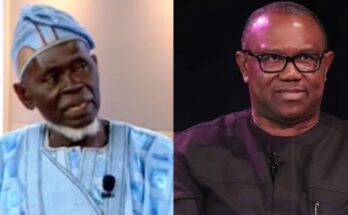 Breaking news: Court affirmed Lamidi Apapa as the authentic Labour Party Chairman:ikejabird.com