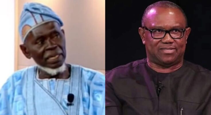 Breaking news: Court affirmed Lamidi Apapa as the authentic Labour Party Chairman:ikejabird.com