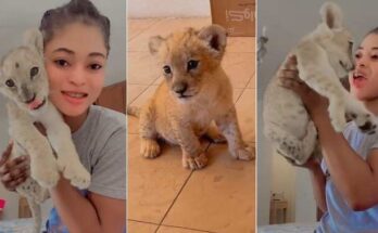 Nigerian lady buys lion cub, Luna as pet, cuddles it in video