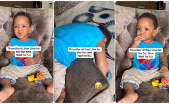 Little boy pounds sofa aggressively after tasting lime
