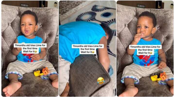 Little boy pounds sofa aggressively after tasting lime