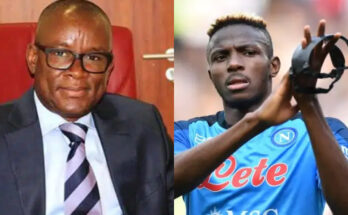 I will fight for Osimhen, other oppressed athletes - Nigerian Sports Minister