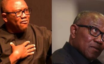 Tribunal strike out EU’s report on 2023 elections tendered by Obi, Lp: Ikejabird.com