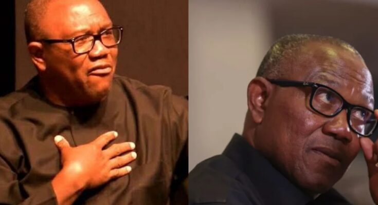 Tribunal strike out EU’s report on 2023 elections tendered by Obi, Lp: Ikejabird.com