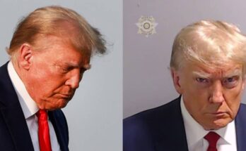 Donald Trump pleads not guilty to election conspiracy charges | Ikejabird.com