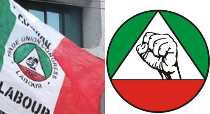 Strike: Federal government and TUC discuss critical labor issues for workers | Ikejabird.com