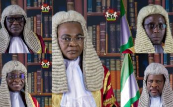 Presidential Tribunal: What do we know about the five Justices deciding our fate today? | Ikejabird.com