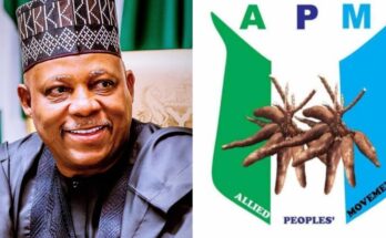 Breaking News: Presidential Election Petition Tribunal strikes out APM's petition | Ikejabird.com