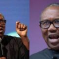 'Despair is Not an Option: Peter Obi urges Obidients to stay strong  amid setback:ikejabird.com