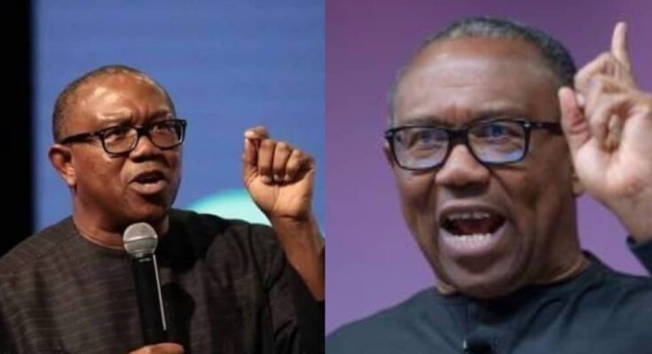 'Despair is Not an Option: Peter Obi urges Obidients to stay strong amid setback:ikejabird.com