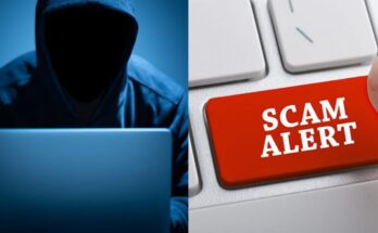 How to identify scam pages on online:ikejabird.com