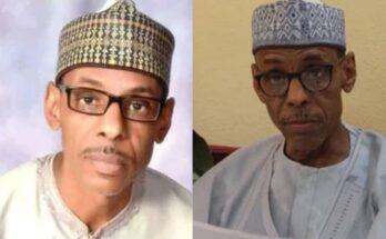 Datti Baba-Ahmed's brother appointed special adviser to Kashim Shettima | Ikajabird.com