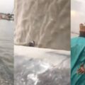 Depression is real: Nigerian man jumps into lagoon:ikejabird.com