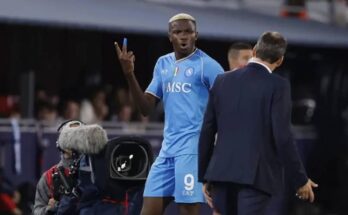 Rudi vs Osimhen: Napoli coach Rudi Garcia reacts to Victor Osimhen's outburst:ikejabird.com