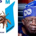 APM appeals in Supreme Court to remove President Bola Tinubu from office | Ikejabird.com