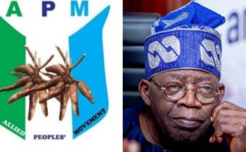 APM appeals in Supreme Court to remove President Bola Tinubu from office | Ikejabird.com