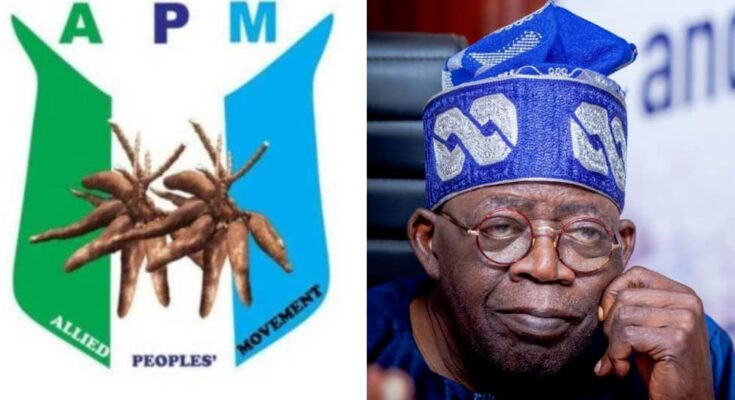 APM appeals in Supreme Court to remove President Bola Tinubu from office | Ikejabird.com