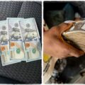 Patriotic Nigerian changes $500 at Official Exchange Rate, Gets N381,765