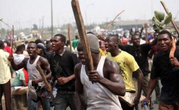 Agbero: Are they really needed in Lagos?