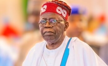 Tinubu’s alleged certificate forgery: What does the constitution say about it? | Ikejabird.com