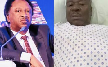 Shehu Sani reacts as Mr. Ibu begs for financial aid