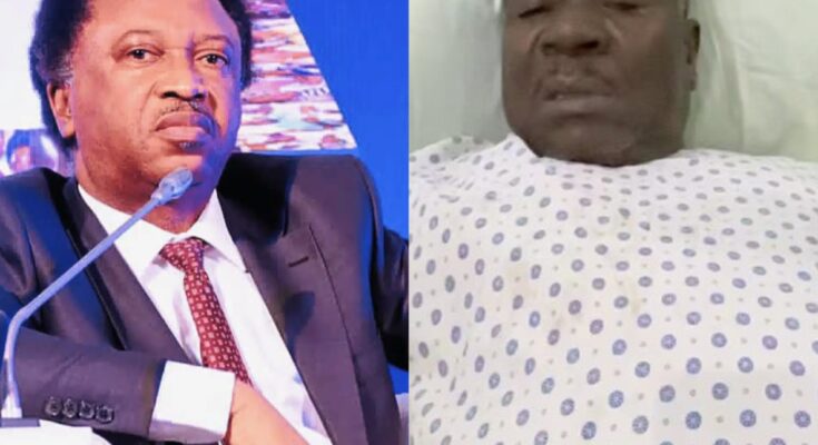 Shehu Sani reacts as Mr. Ibu begs for financial aid