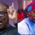 Tinubu’s certificate forgery has ‘worsened’ Nigeria’s image – Peter Obi:ikejabird.com