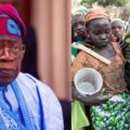 Letter to Tinubu: Battling lack of formal education among girls;ikejabird.com