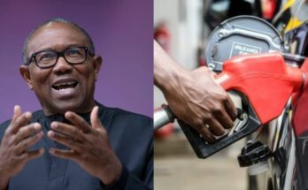 Breaking: Subsidy should be removed - Peter Obi said | Ikejabird.com