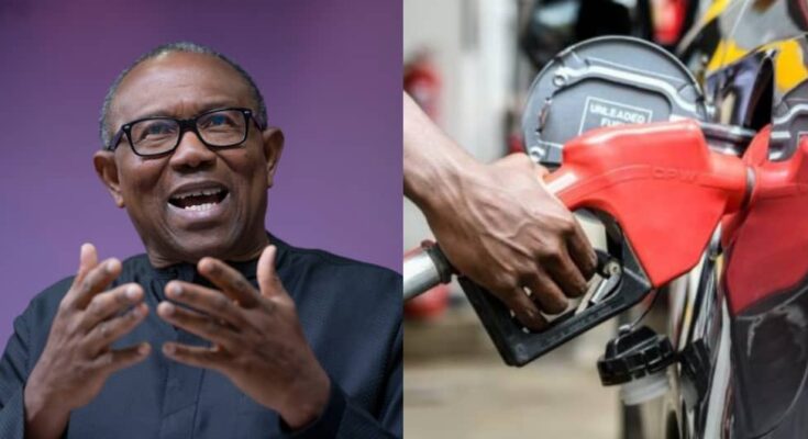 Breaking: Subsidy should be removed - Peter Obi said | Ikejabird.com