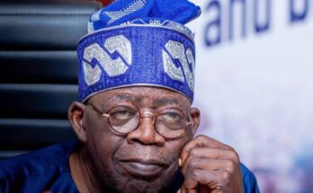 Call for President Tinubu’s resignation: What does the constitution say about it? | Ikejabird.com