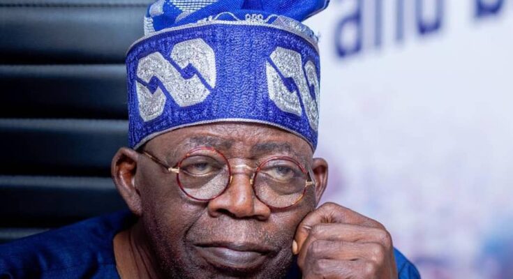 Call for President Tinubu’s resignation: What does the constitution say about it? | Ikejabird.com