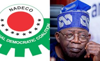Breaking: NADECO calls for Tinubu's resignation | Ikejabird.com
