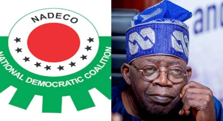 Breaking: NADECO calls for Tinubu's resignation | Ikejabird.com